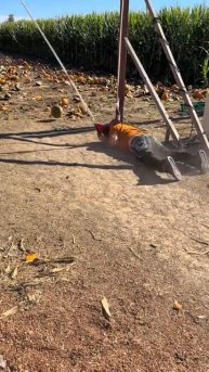 🤦♀️🤦♀️🤦♀️🤦♀️
подписывайтесь на перчик🌶🌶 тут всё для хорошего настроения☺☺☺