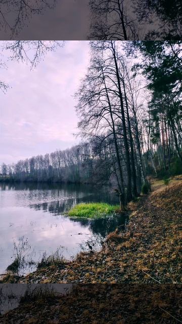 Сегодня, на самом деле, был неплохой денек, даже очень красивый лес днем и обалденный закат вечером.