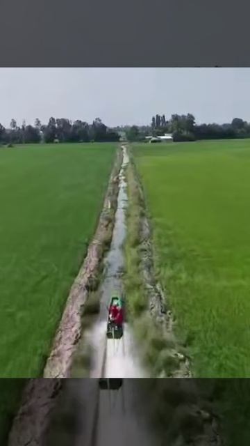 VID_20251207_135814_683.mp4