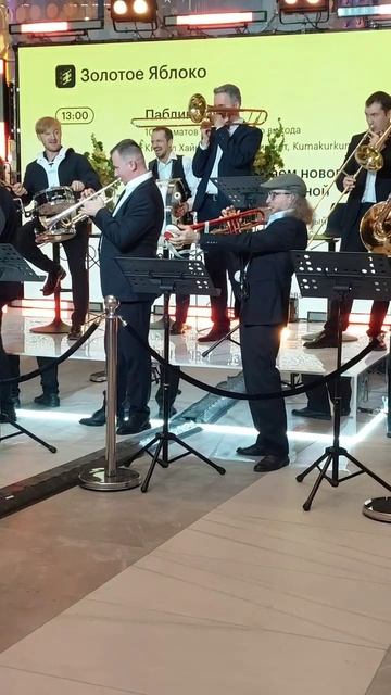#россия #санктпетербург #константинстуков #труба #olympicbrass #олимпикбрасс #джаз #новыйгод #ëлочка