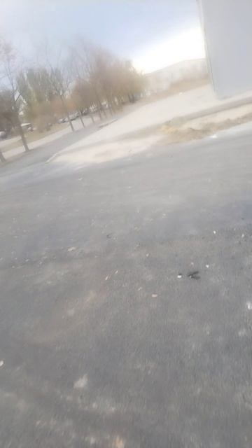 У нас в Волгодонске у магазинов сделали дорожки