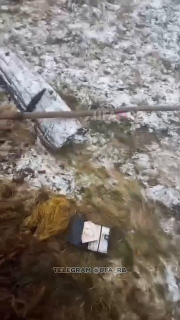 в Башкирии фермер нашел в желудке коровы кошелек с крупной суммой