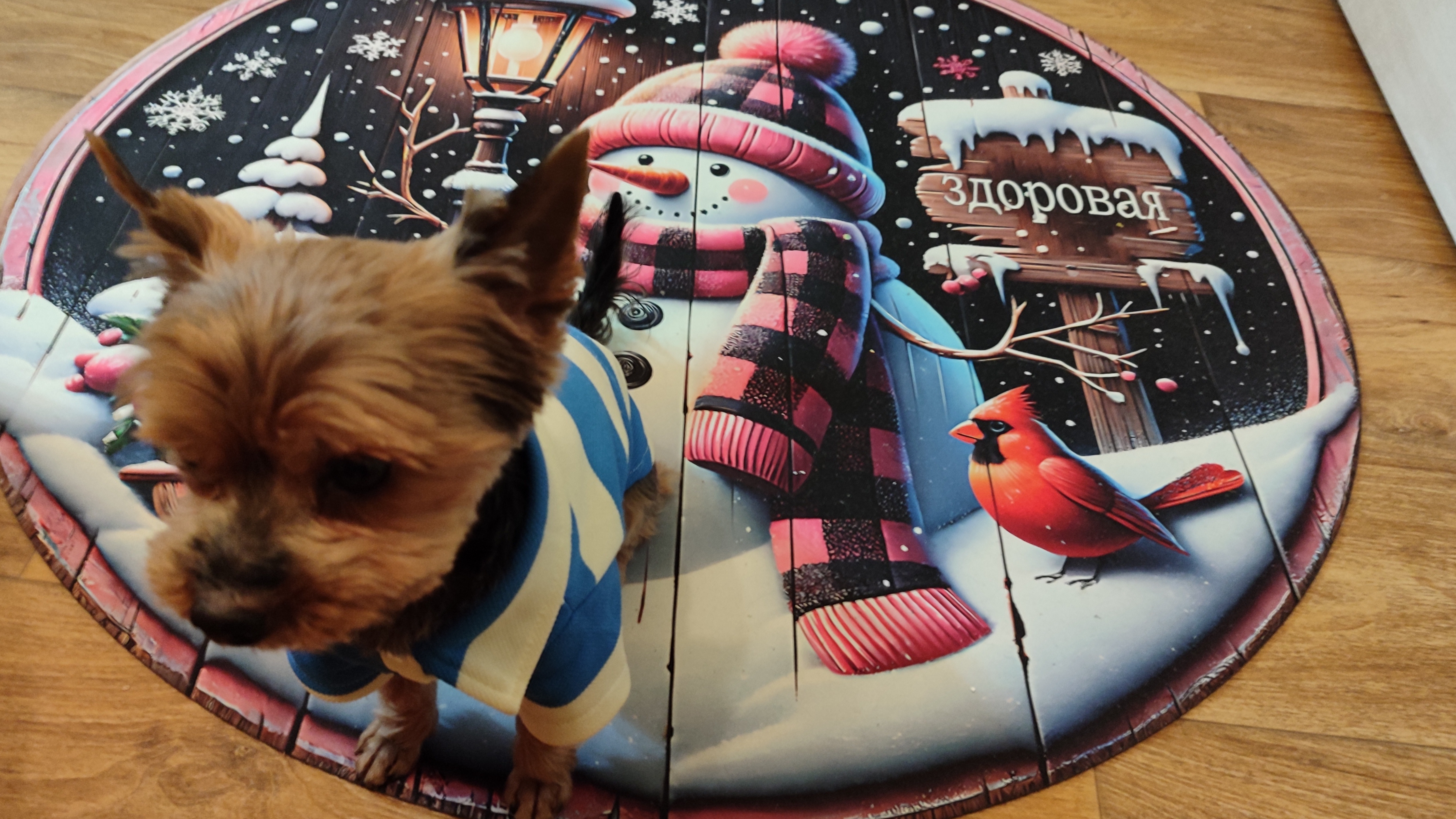 Получила подарок о котором так долго мечтала .Меня муж заставляет готовиться к Новому году