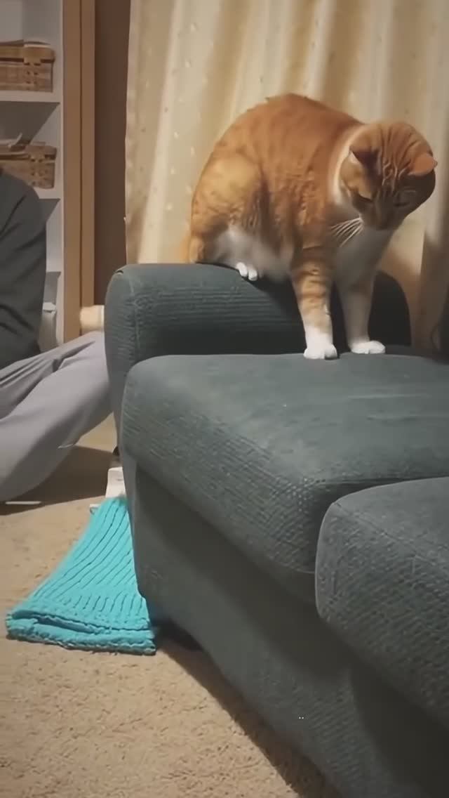 😂Смотри, мышка!