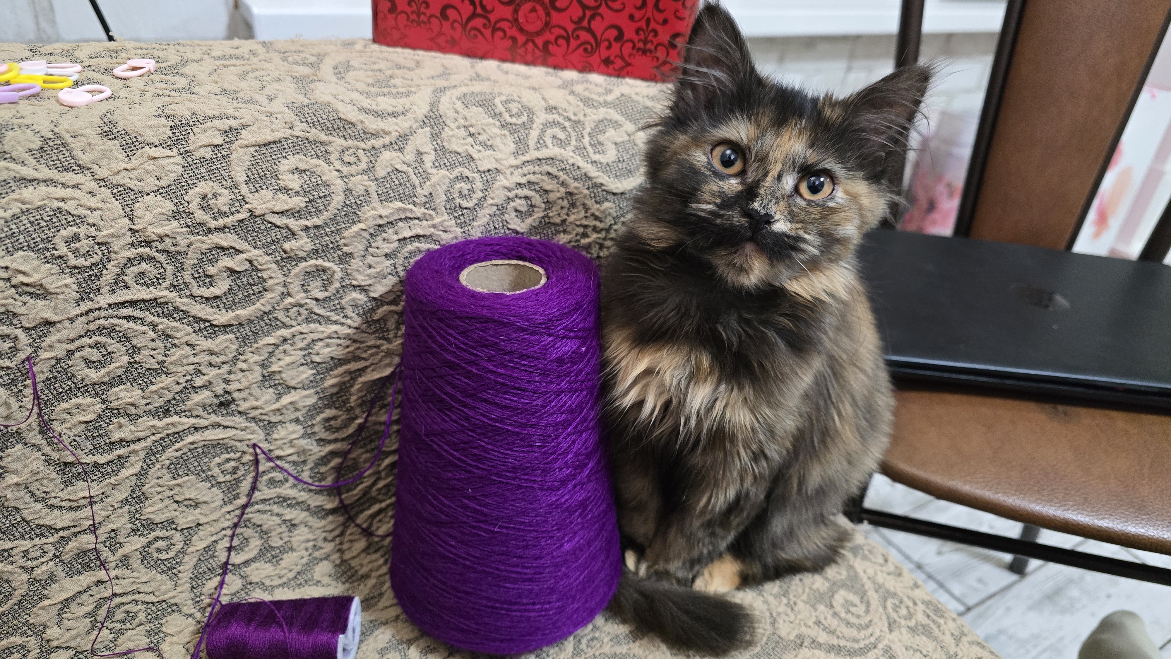 ✨️Сделал дело — ВЯЖИ смело!✨️