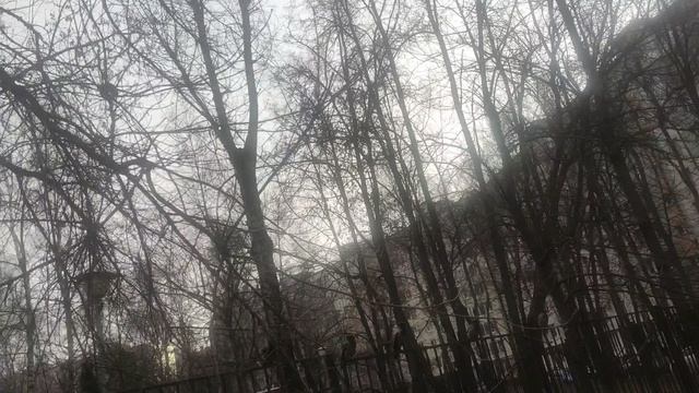 7 декабря 🌞 для вас друзья до вечера без осадков ...