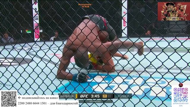 Барбоса - Тернер