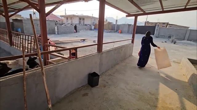 Возвращение Хамида. Что случилось с детьми?