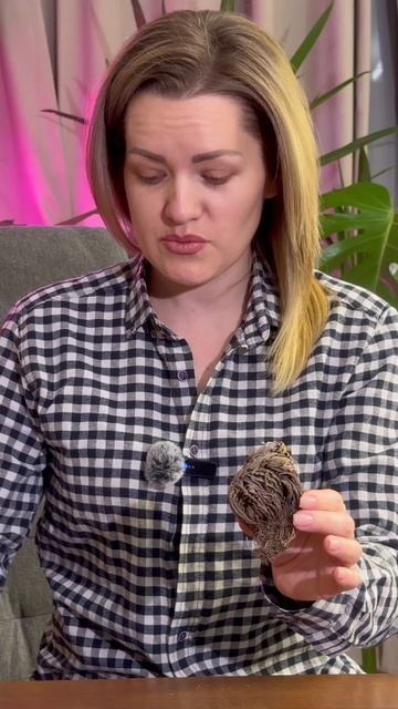 Неубиваемое растение для вашей зелёной коллекции 🌱 #татьянинсад