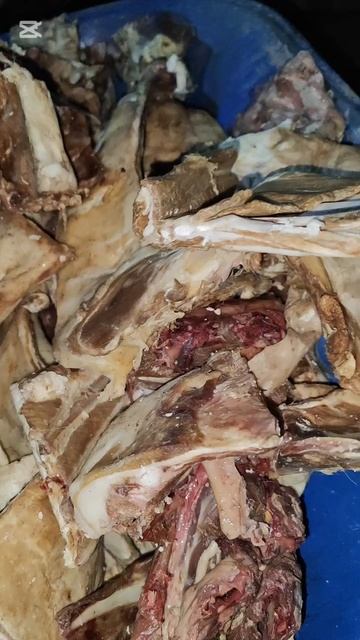 Баранина для всего приюта