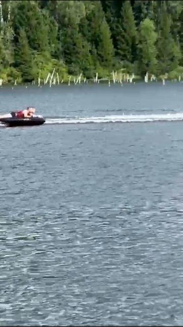 Отдыхаем на Алтае👍