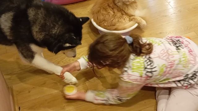 Annat мажем Семи лапки воском