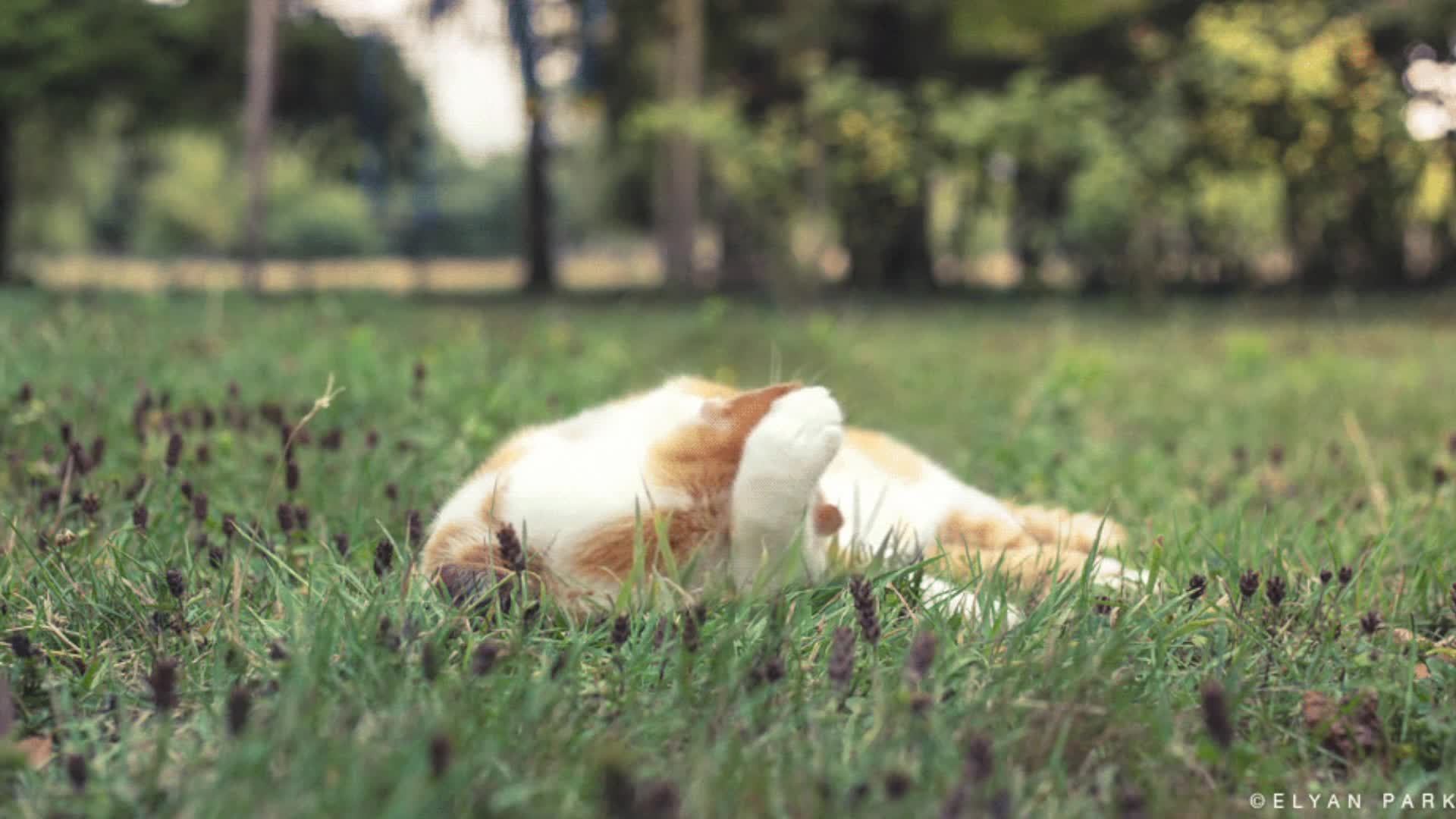 мужички едут куда-то или RV There Yet?