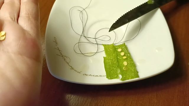 Простой способ повысить всхожесть семян