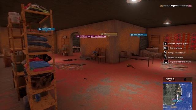 Крыска и рандомный союзник