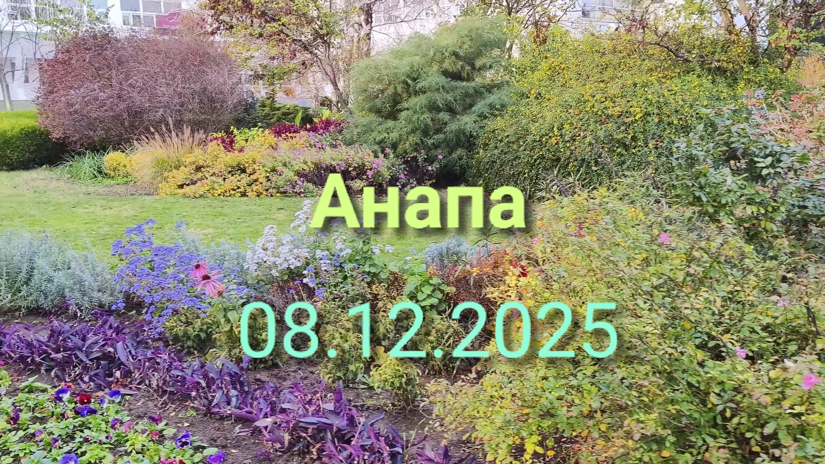 Анапа 08.12.2025