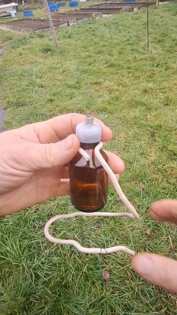 Самоделка приспособление Масляная свеча своими руками #diy #полезныесоветы #хитрости #shorts #врек