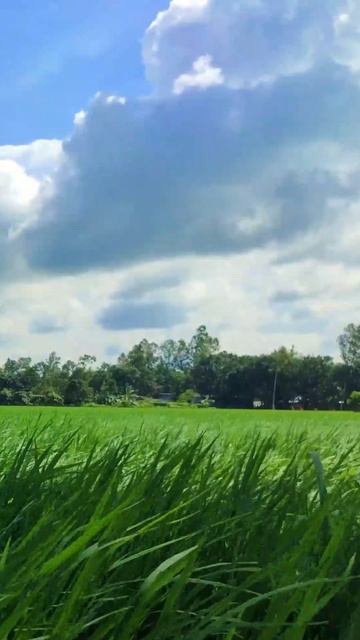 «К…» - Михаил Лермонтов. (1)