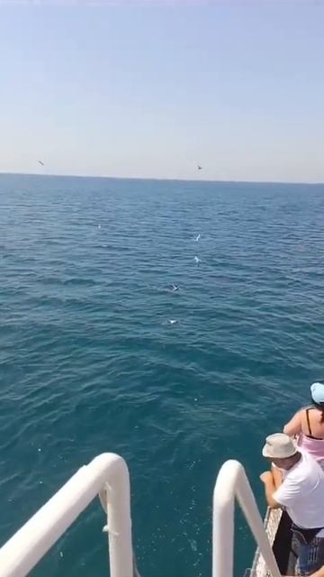 #Анапа 9 июля 2024 / Морская Прогулка и рыбалка