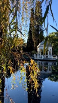 Абхазия, Новоафонский Приморский парк сегодня утром (8 декабря, ЗИМА 2025-2026)