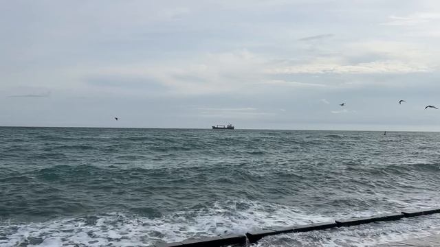 Ялта. Зимний шторм 4 балла. Черное море. Мощная красота и сила! Елка. 07.12.2025. Крым.Crimea.Yalta.