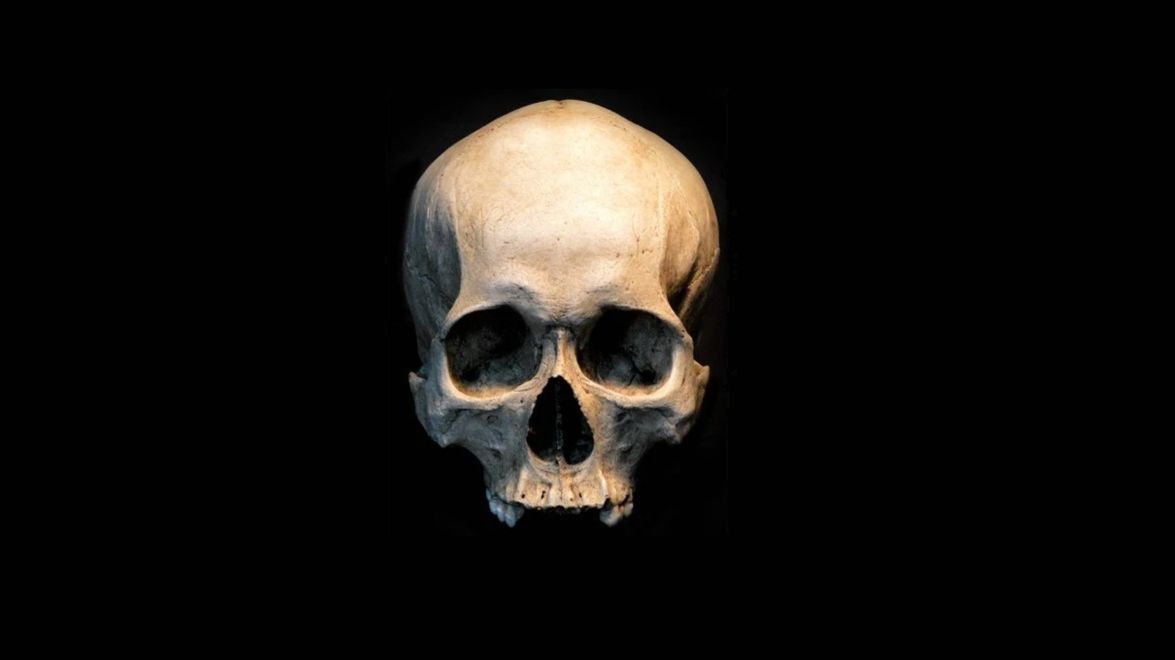 СМЕРТЬ - Сталкер - Брат - Три Части