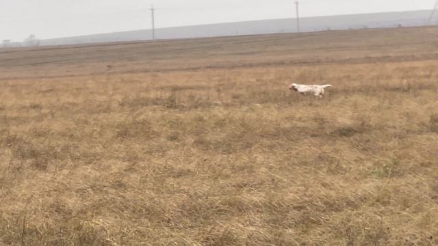 Федора. 08.12.25