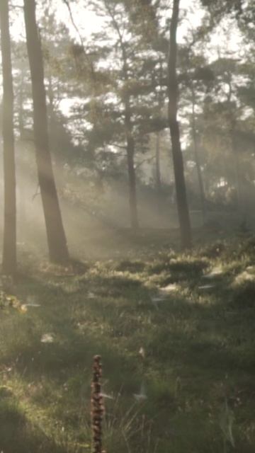 «Молитва» - Михаил Лермонтов. (1)