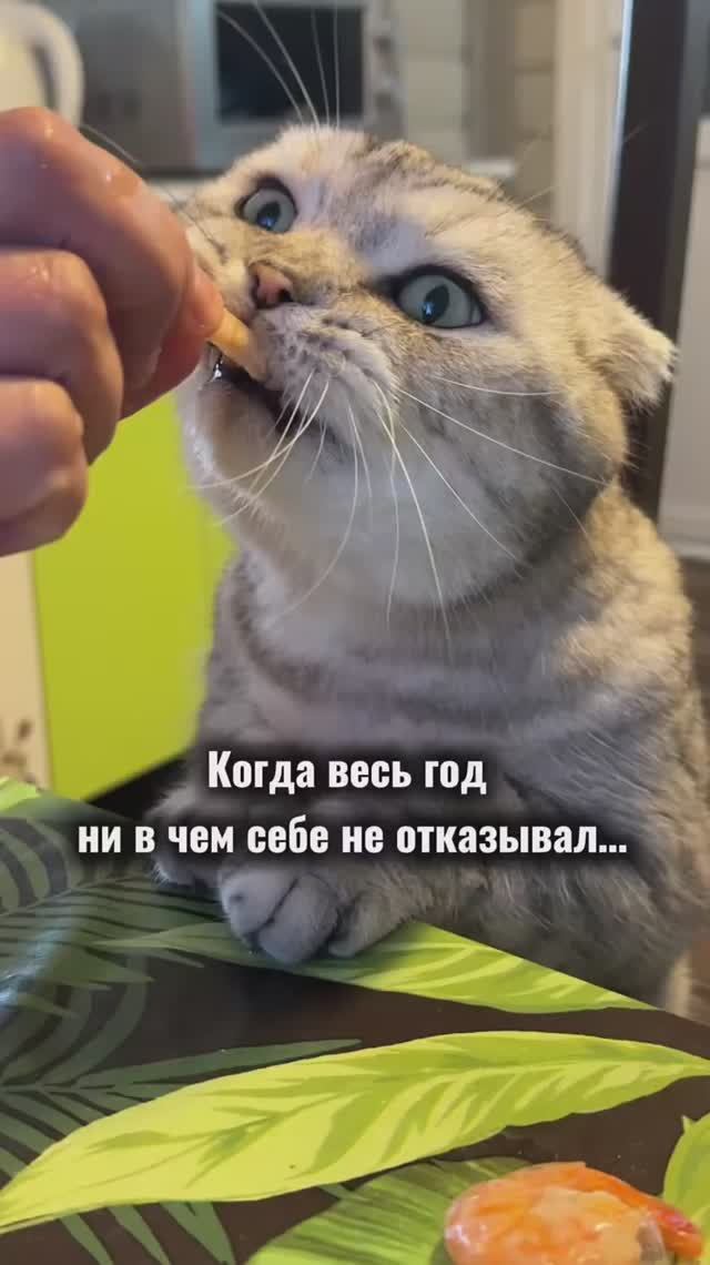 Ещё есть время😂