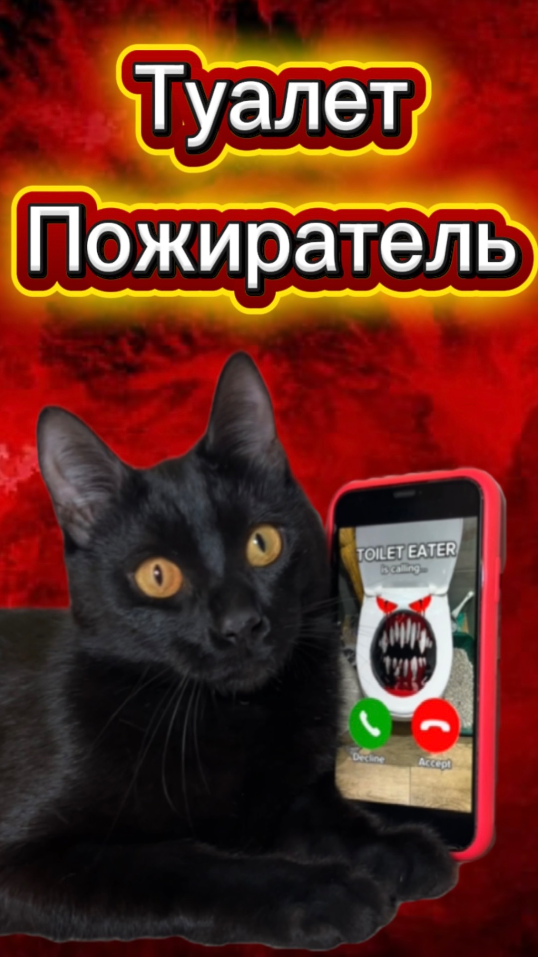 ТУАЛЕТ ПОЖИРАТЕЛЬ В РЕАЛЬНОЙ ЖИЗНИ 🙀 #кот #кошка #животные #ужасы #страшно #туалетпожиратель