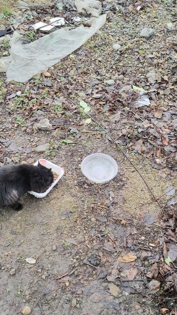 Хороший аппетит в любую погоду.