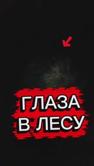 Глаза ночью в лесу, иду с фонарём 🫣