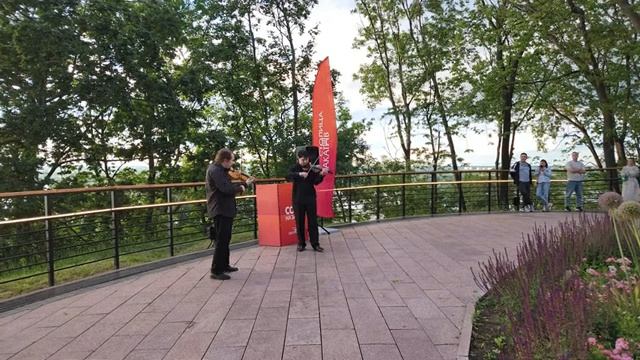 Ягода малинка Струнный дуэт 1+1