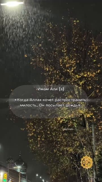 Имам Али (а)
«Когда Аллах хочет распространить милость, Он посылает дождь».
📚 Нахдж аль-Балага, ху