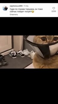 Торшер ))))))))))))))))))