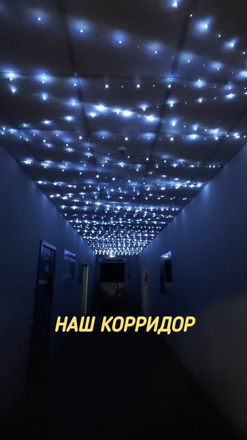 Наш Новогодний корридор
