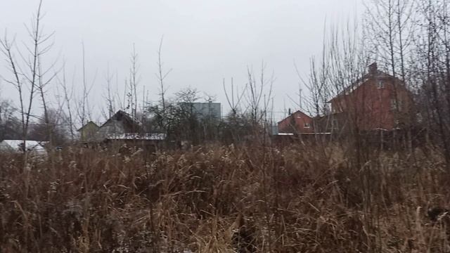 50:04:0000000:101579