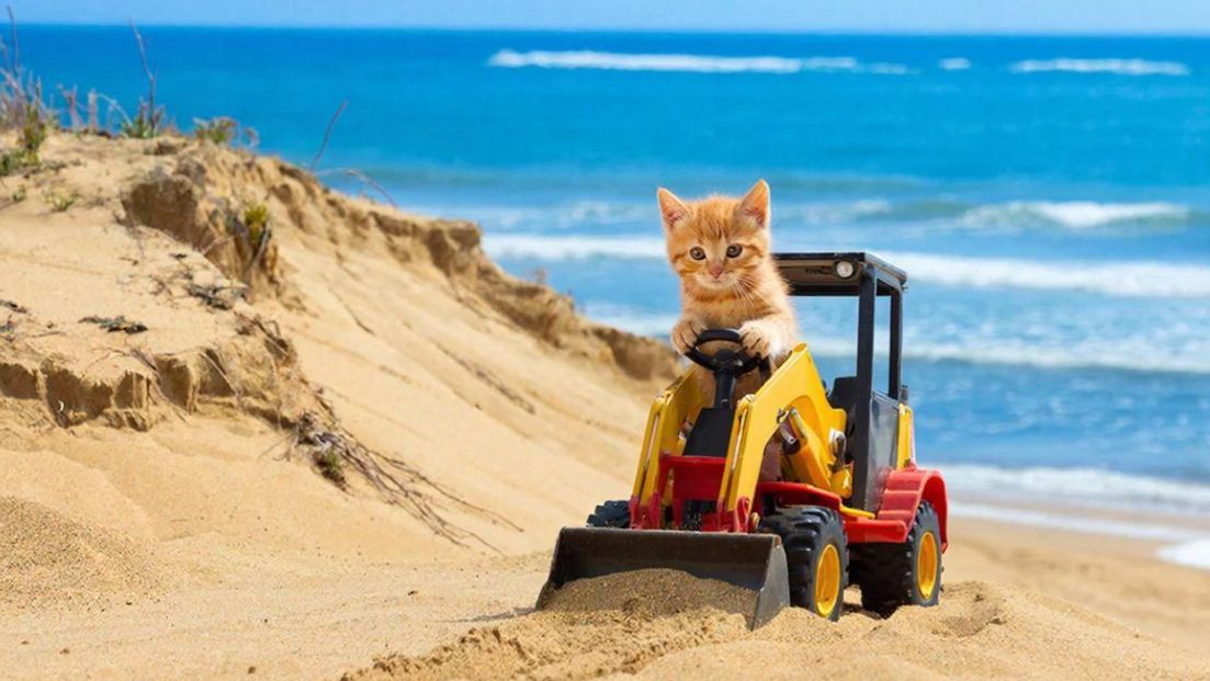 РАЗВЛЕКАТЕЛЬНОЕ ВИДЕО ДЛЯ ДЕТЕЙ