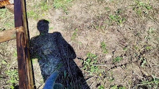 Посадка сирени, начало строительства туалета...