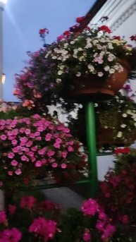 1000203872.Толгский монастырь вечером.Архив.видео.от 03.09.25.г