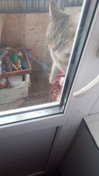 Маша приходит с улицы и стучится