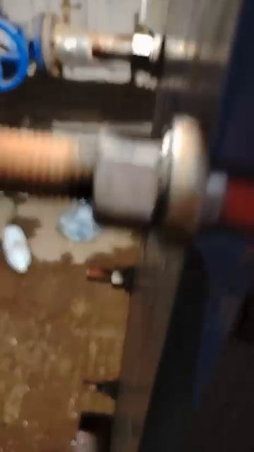 Эстонская, 37/3