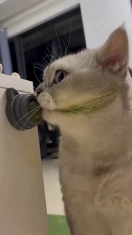 Хочешь знать, откуда у меня эти шрамы?😈