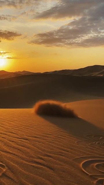 Фиксируй, пока ещё можешь! Фиксируй доказательства с помощью ShotApp