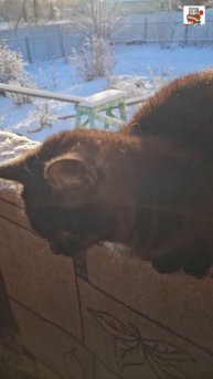 Ребята для своих Любимых Зрителей в Небе зажгли и Солнышко и Радугу и Луну 🌞🌈🌕❤️🙏😻🐶🏠