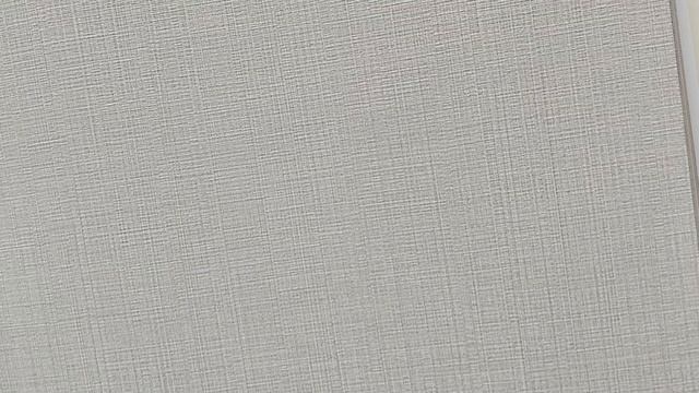 Обзор обоев Andrea Rossi Spectrum Boom 54484-5