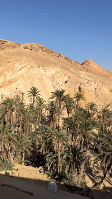 Сергей Серков в горном оазисе пустыни Сахары