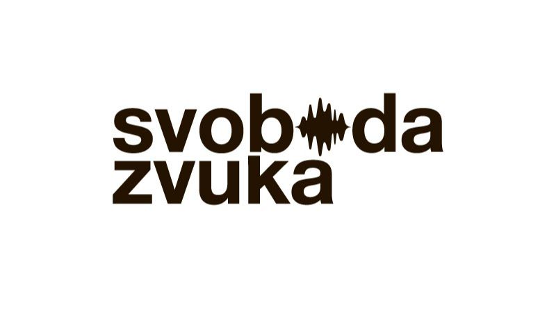 Цифровые пираты P.MOTION в гостях у Svoboda Zvuka