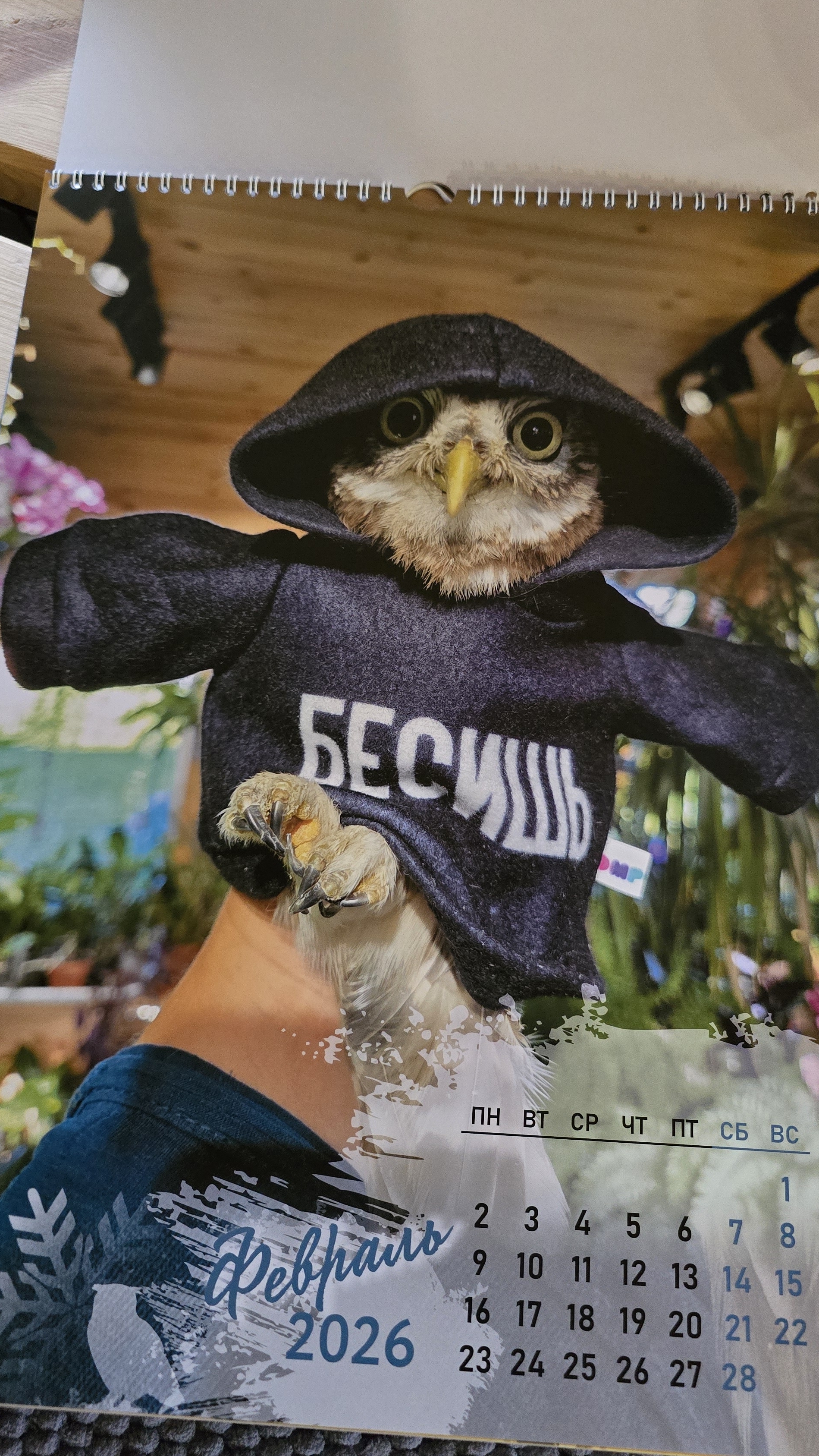 Обзор календарей с совой филином Ёлкой и Ко на 2026 год. На ВБ они по тегу Yoll