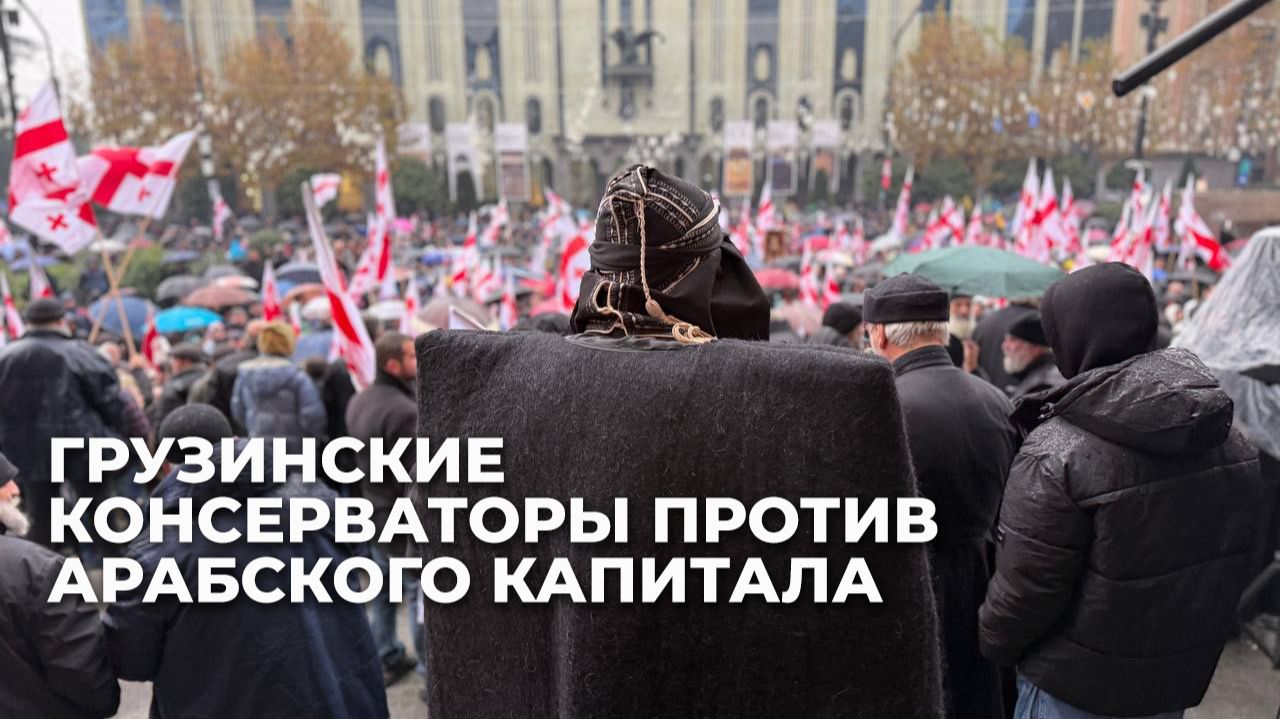 В Тбилиси протестуют против арабских инвестиций и бесконтрольной миграции
